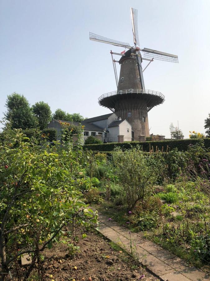 Villa Blauwe Lelie à Ewijk Extérieur photo