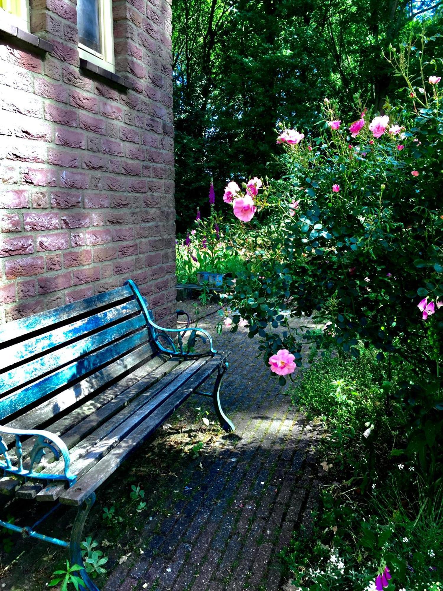Villa Blauwe Lelie à Ewijk Extérieur photo